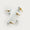 T-bar 3143 | Organic Glass + Brass